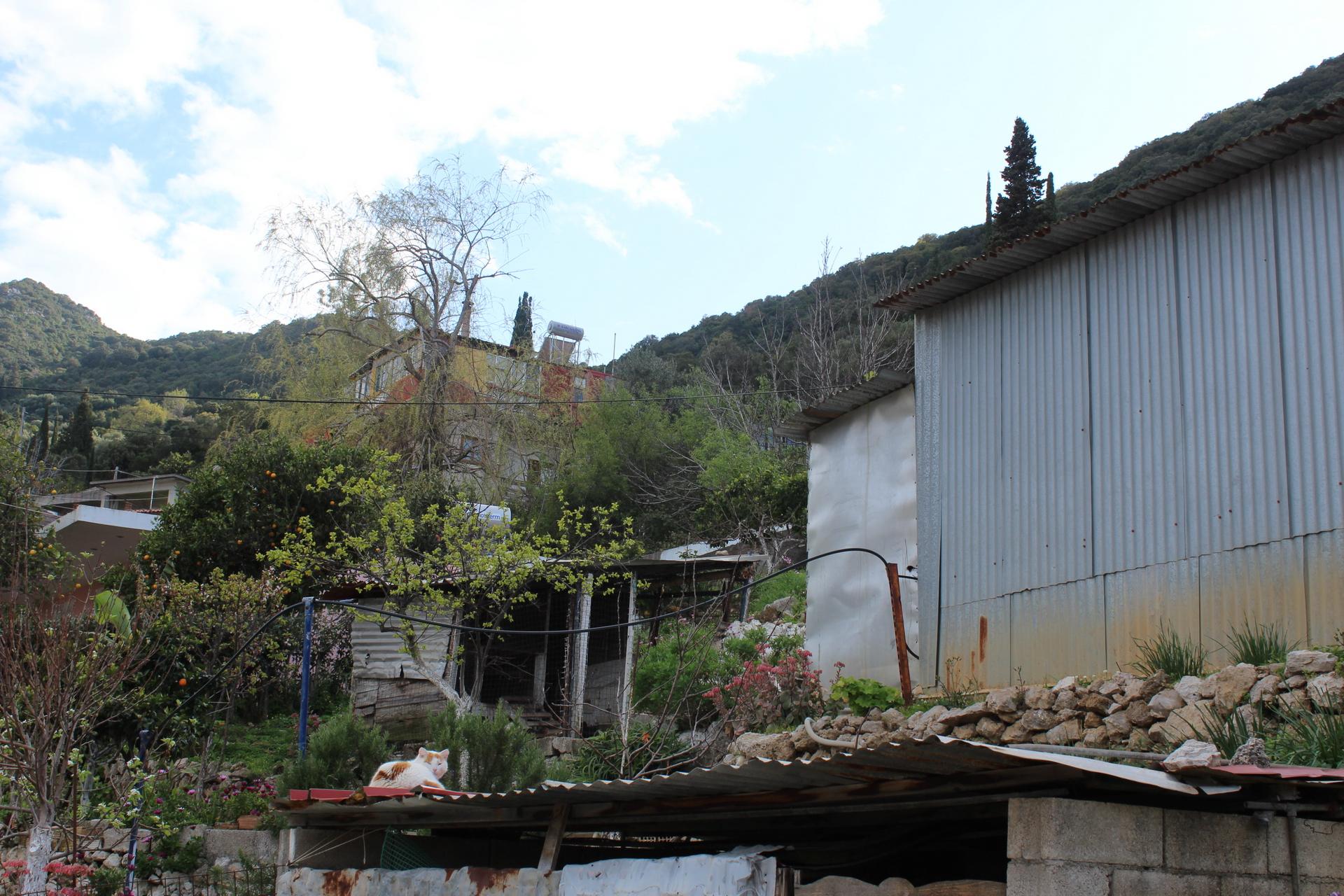 limani-1-img_0577.jpg