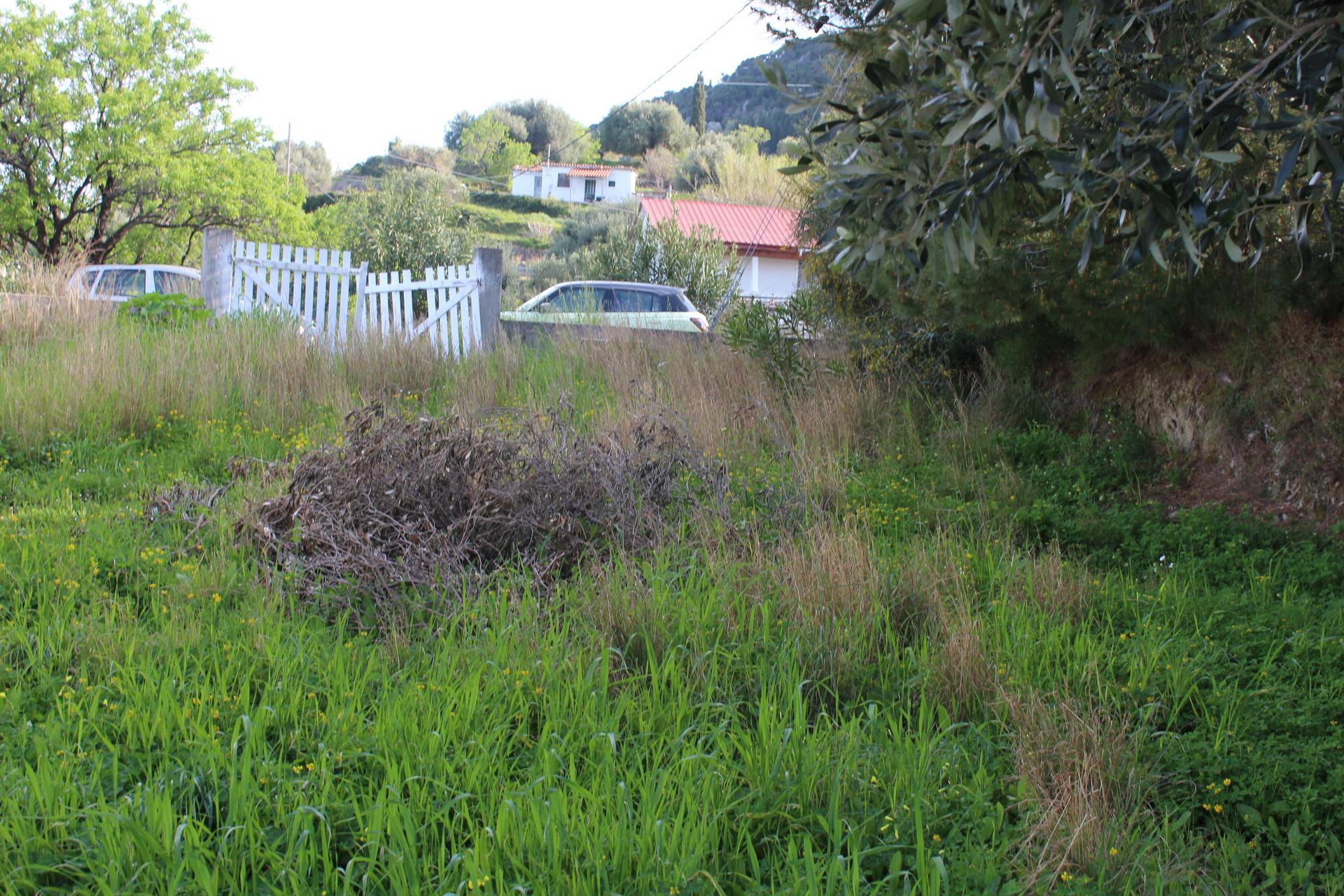 leukes-img_0591.jpg