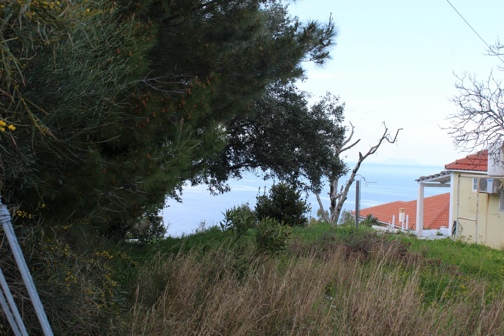 leukes-img_0595.jpg