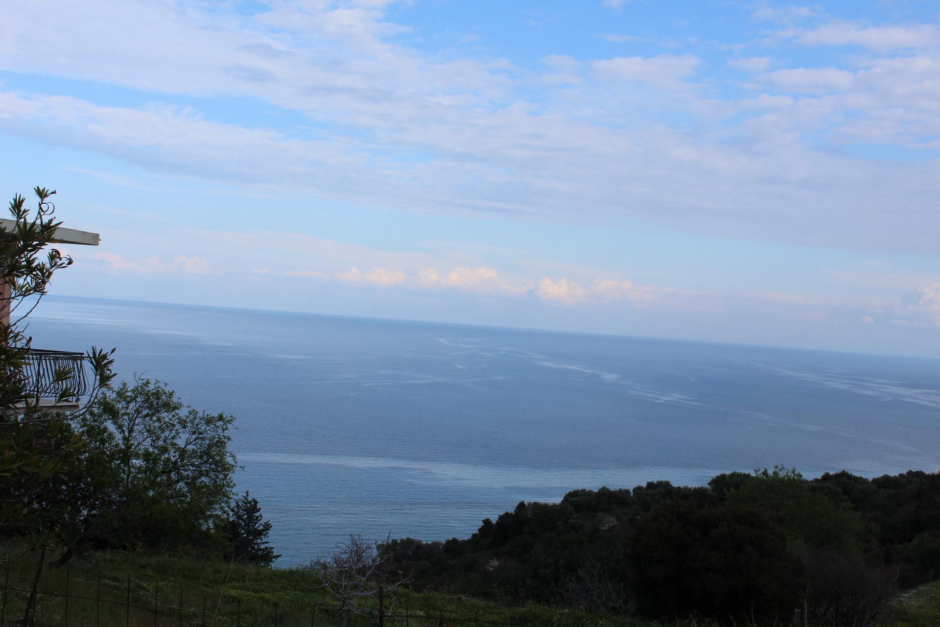 leukes-img_0596.jpg