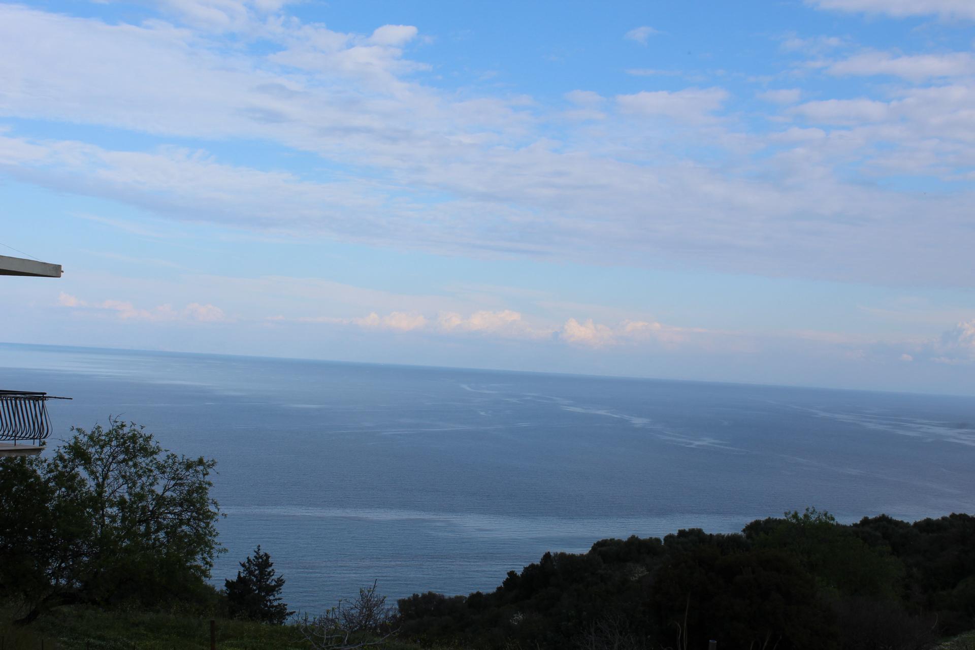leukes-img_0597.jpg