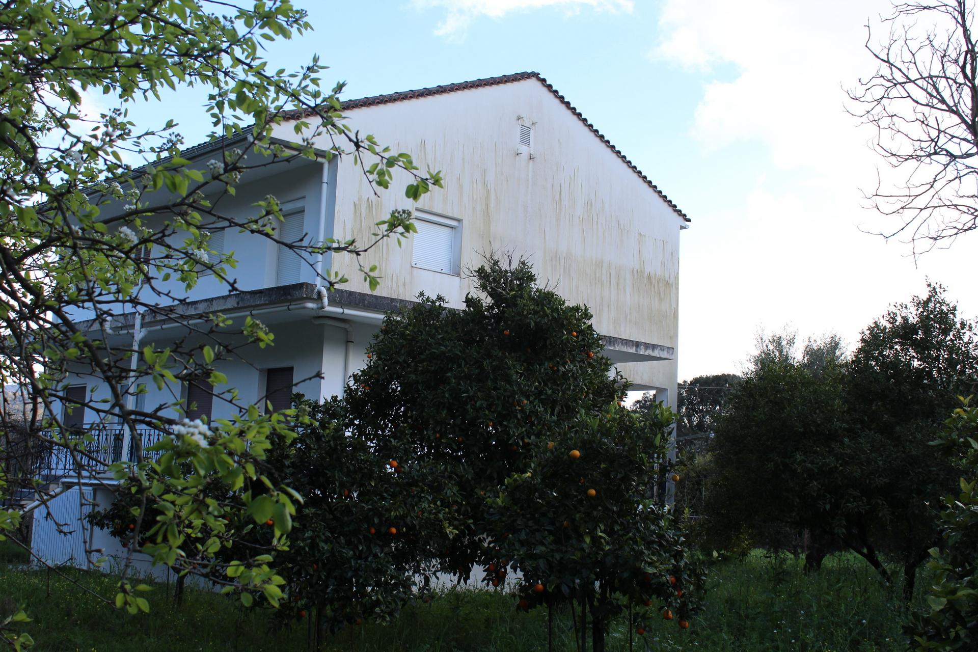 tzannata-img_0631.jpg