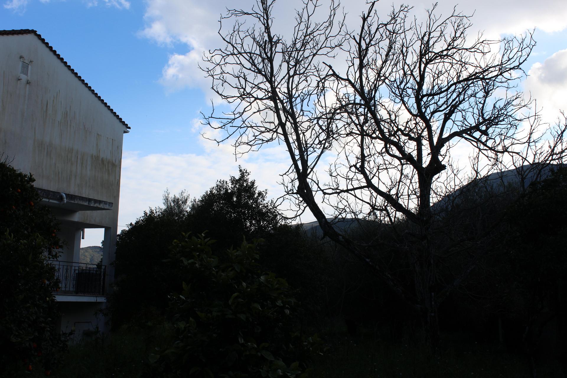 tzannata-img_0632.jpg