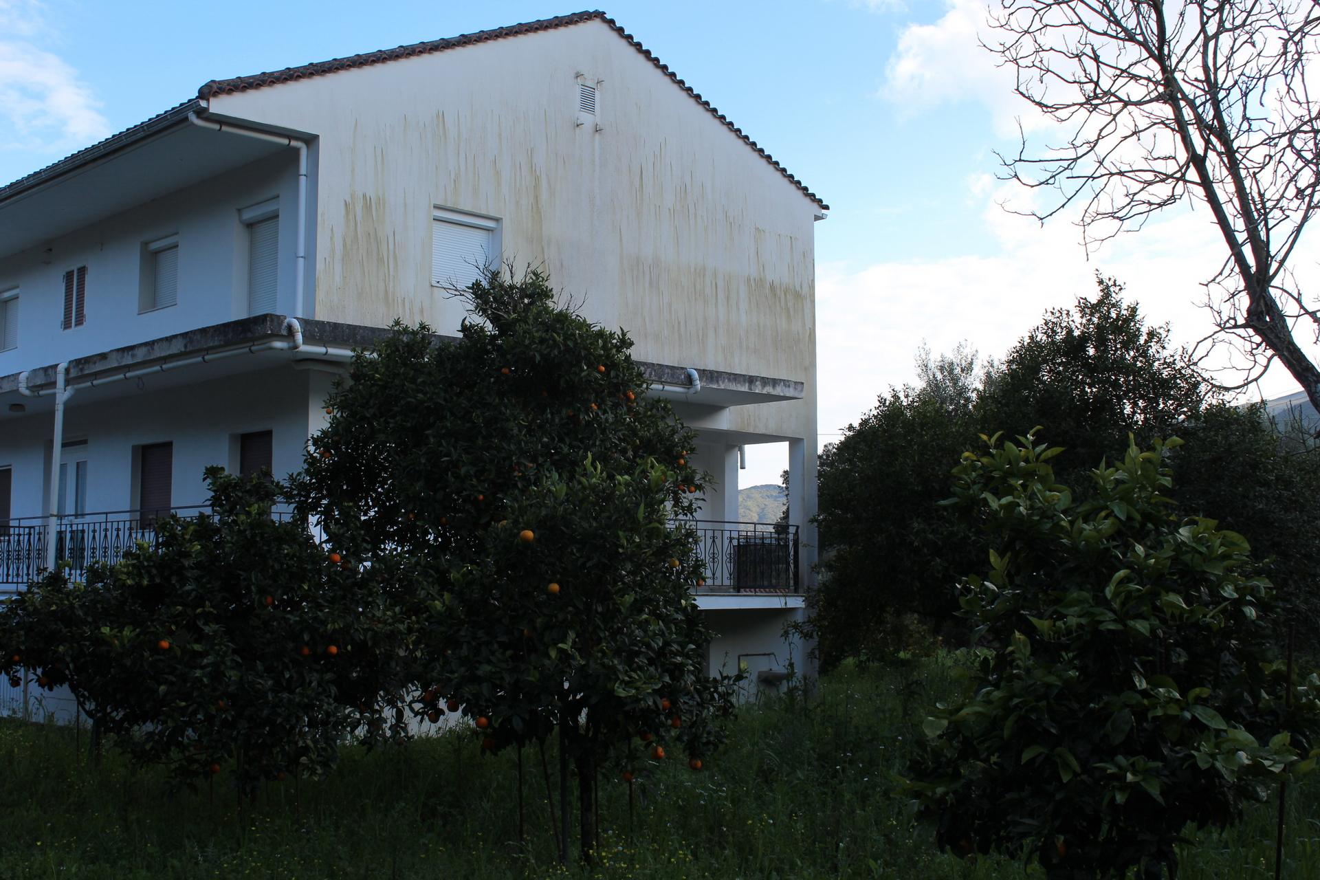 tzannata-img_0633.jpg
