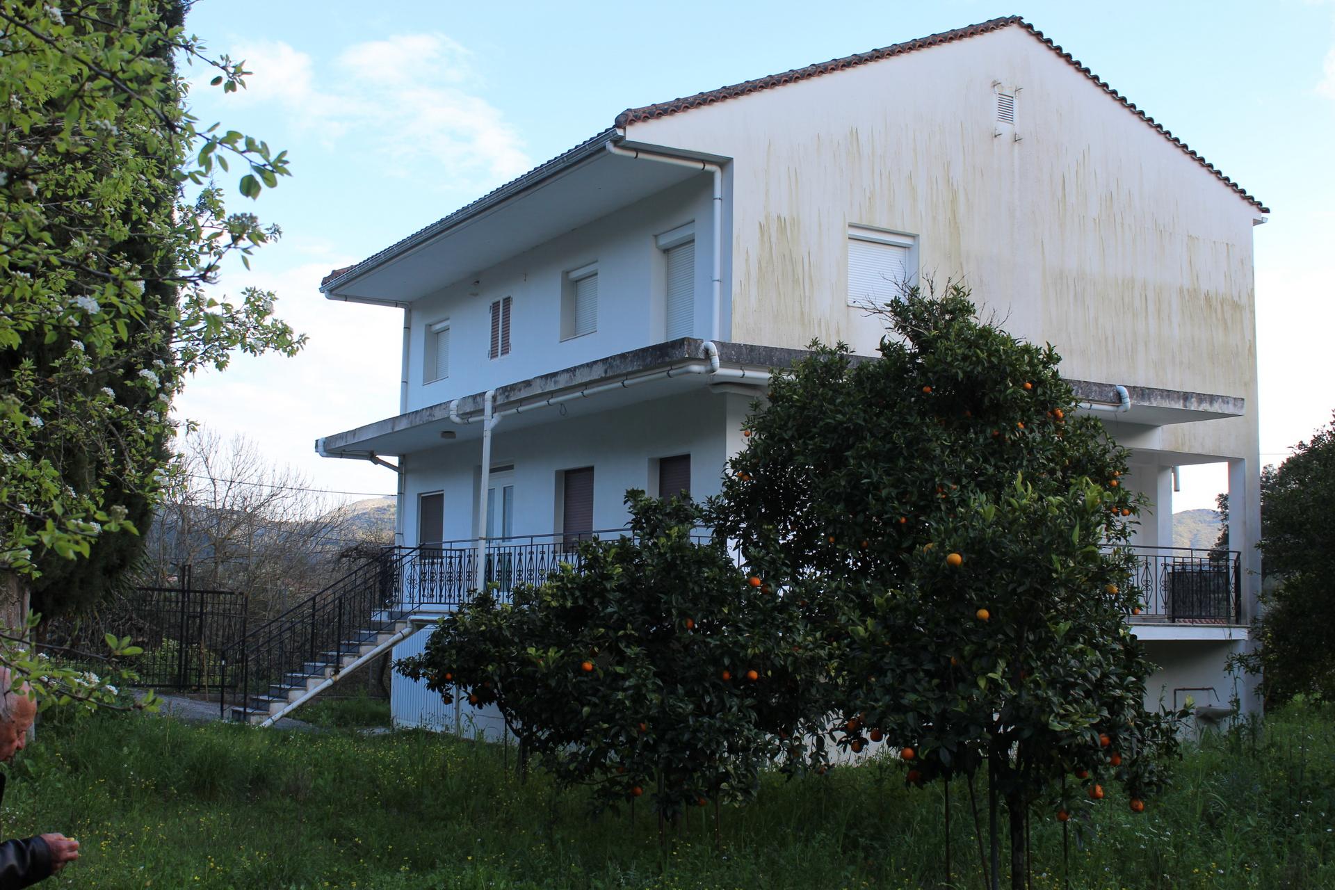 tzannata-img_0634.jpg