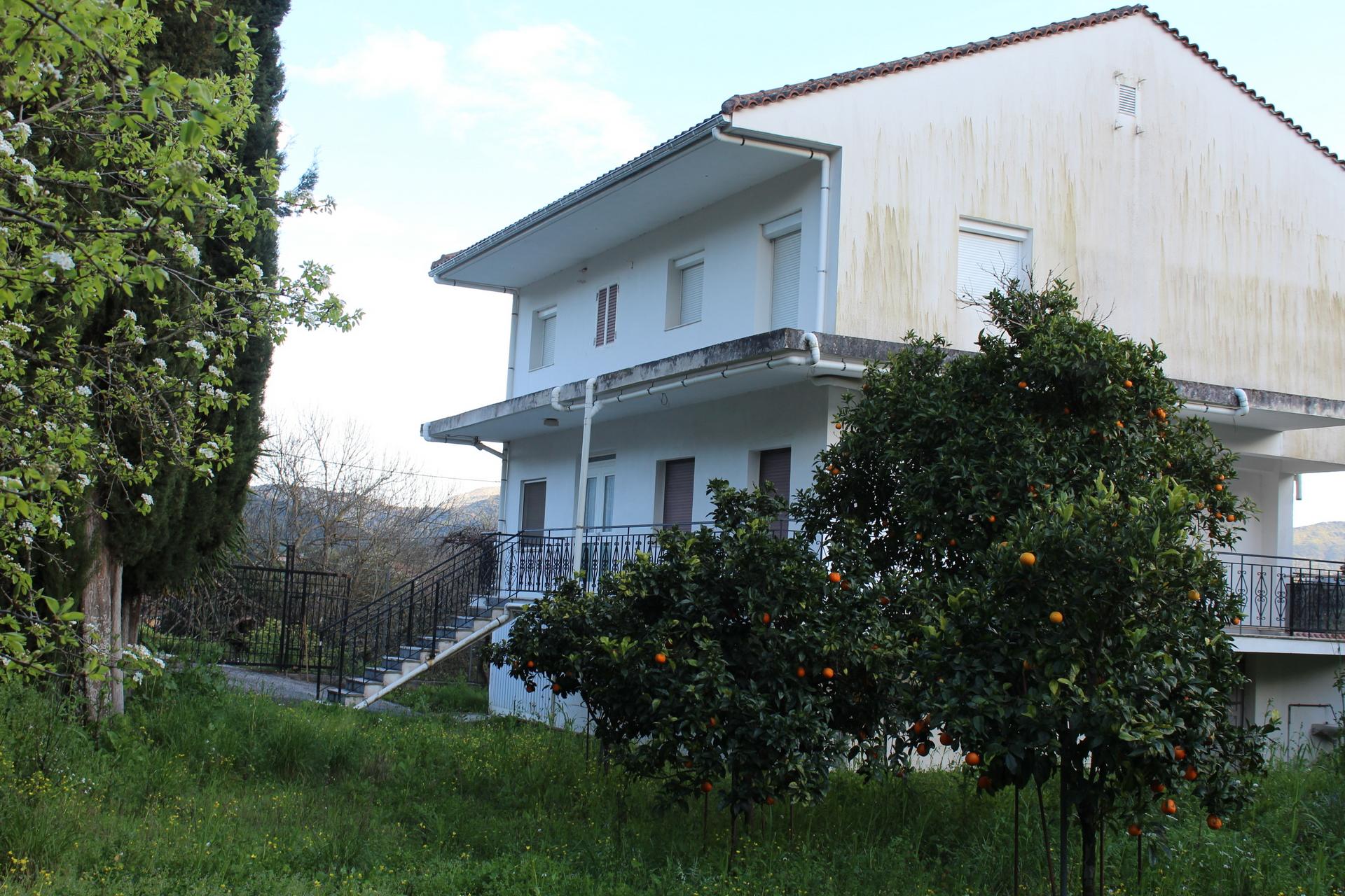 tzannata-img_0637.jpg
