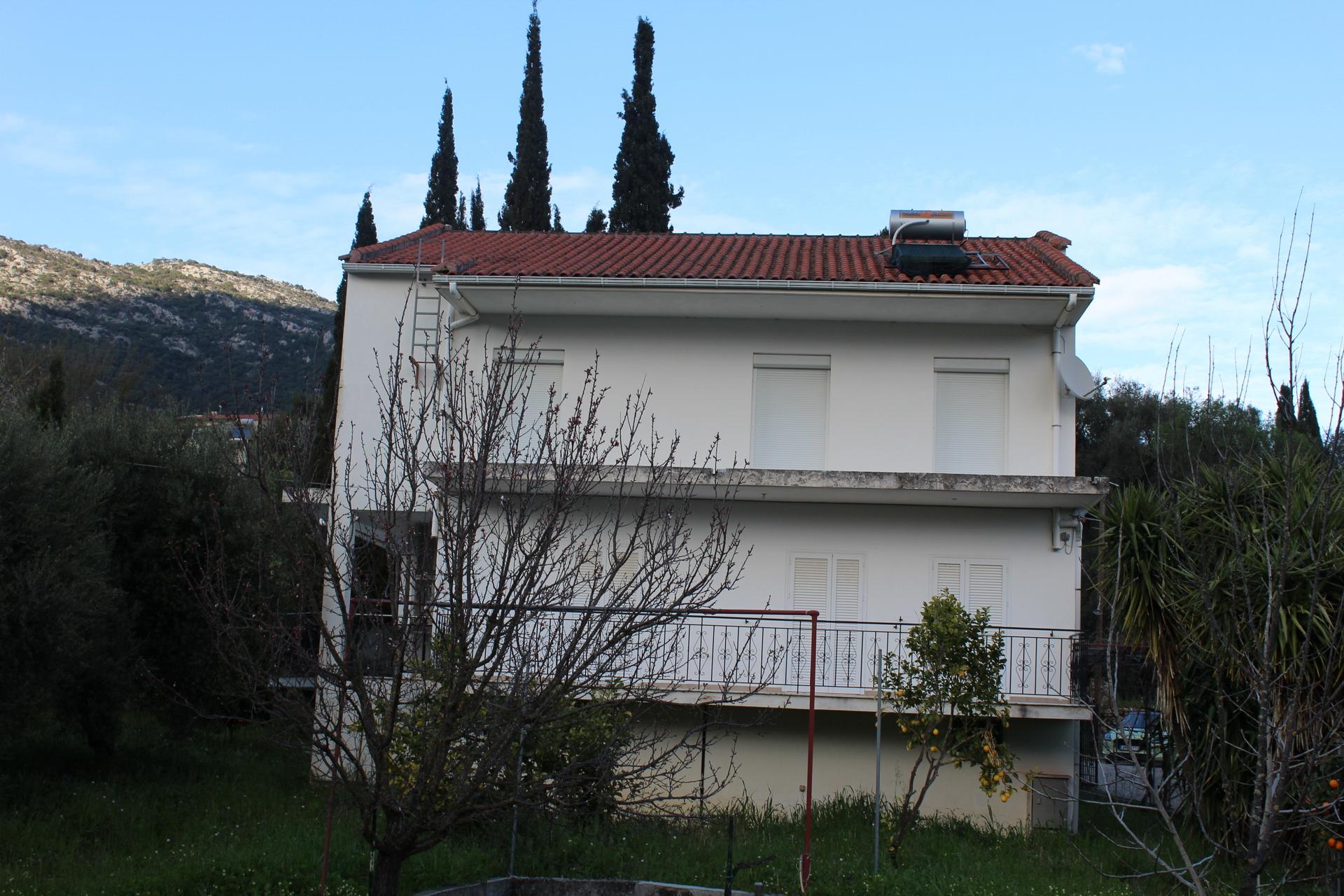 tzannata-img_0642.jpg